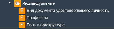 Иллюстрация к разделу «Индивидуальные». Контекст: Персонал → Администратор персонала → Справочники.